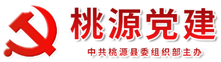桃源县党建网